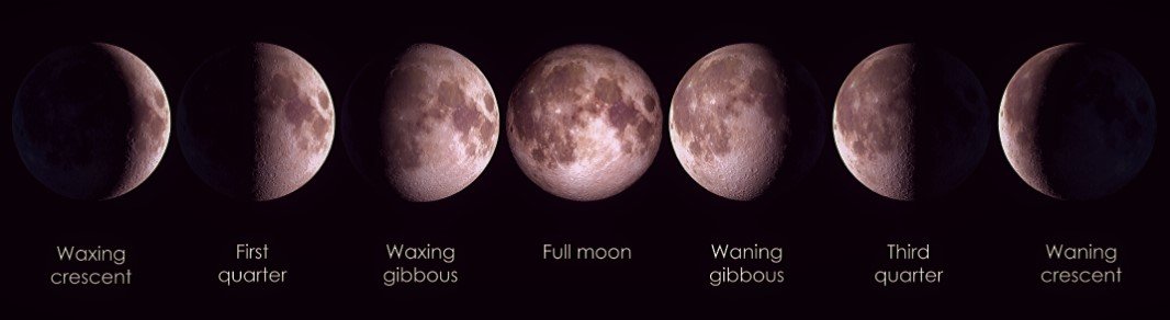 8 Moon Phases Chart8 Moon Phases Chart
