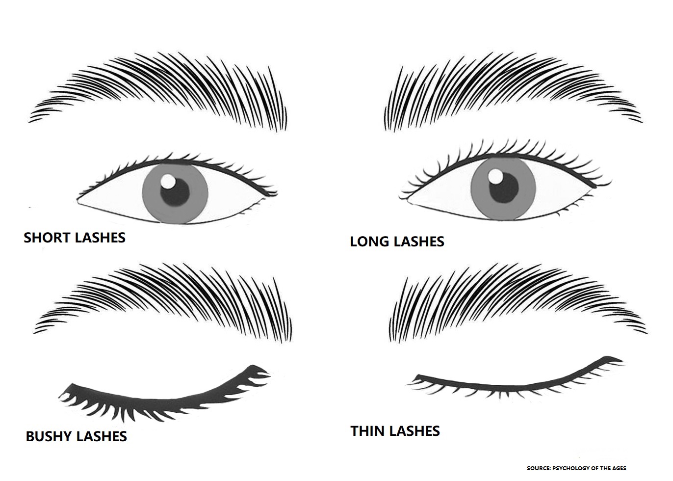meaning of forehead shape in face reading