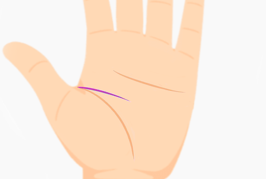 Palm with short head line indicating preference for physical achievements over mental ones