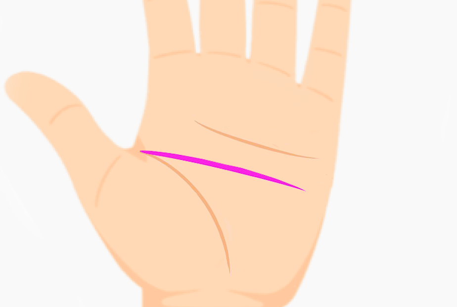 Palm with straight head line indicating realistic thinking style
