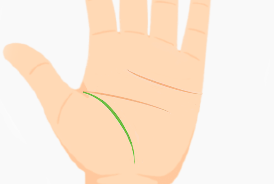 Palmistry showing life line close to thumb indicating frequent tiredness or fatigue