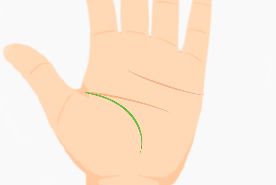 Palm with curvy life line representing high energy and vitality
