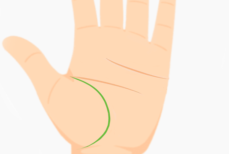 Palm with life line forming a semicircle showing strength, enthusiasm, and zest for life
