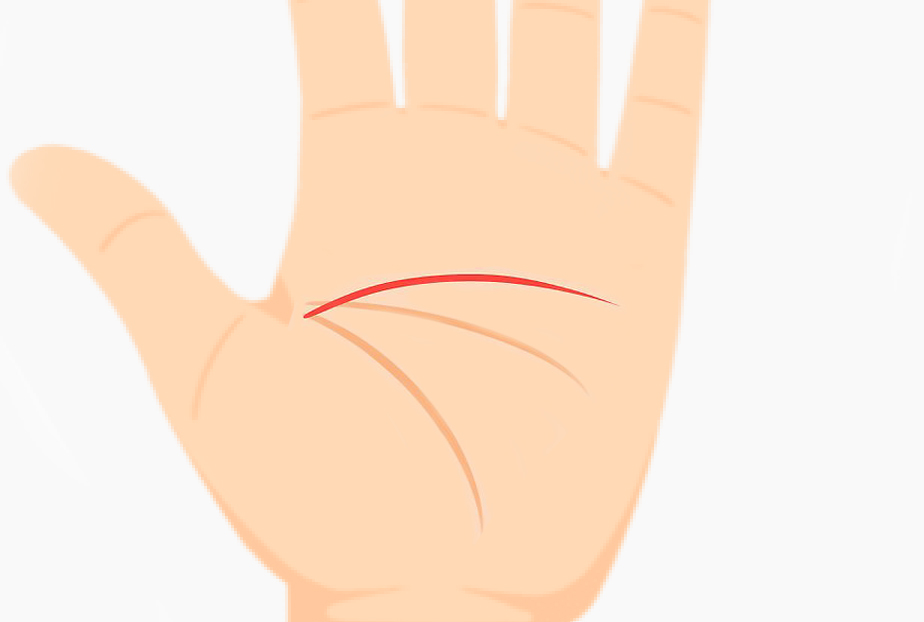 Palmistry image with heart line touching life line indicating emotional vulnerability