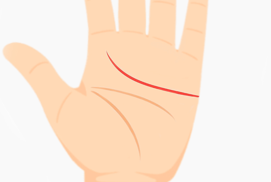 Detailed palmistry diagram showing unique heart line formation and emotional traits