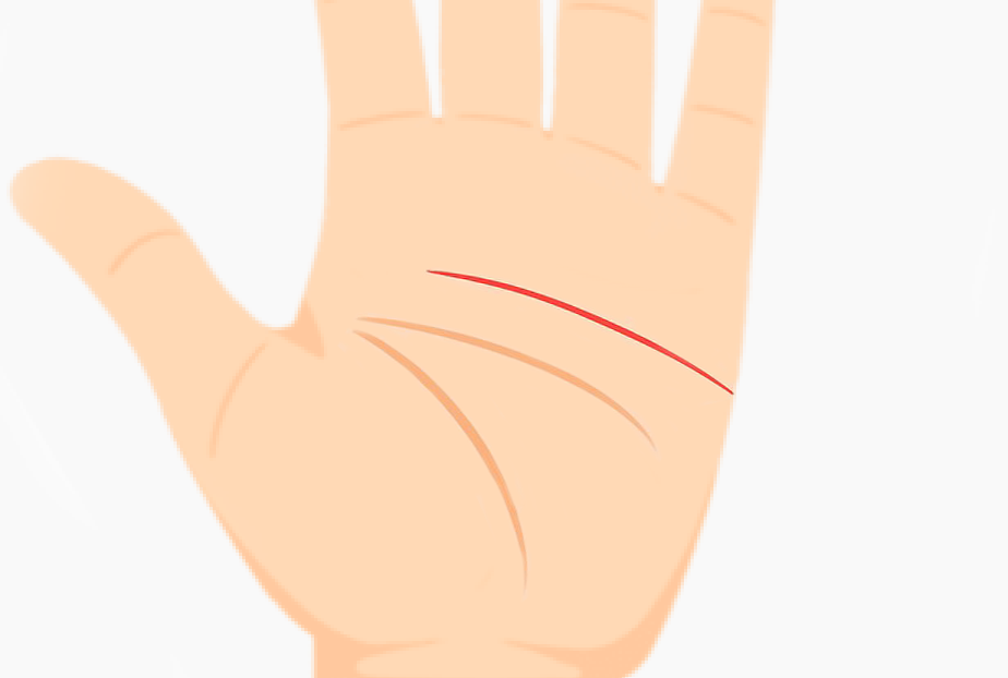 Palm with heart line parallel to head line showing strong emotional control