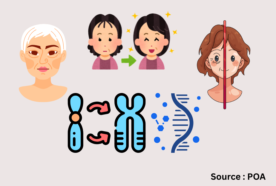 telomeres and aging